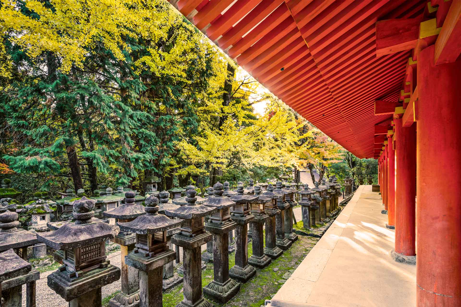 japanese-stone-lanterns-PY25KMW.jpg